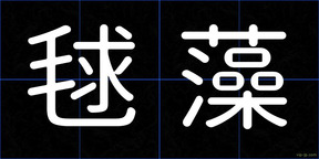 毬藻