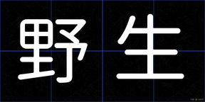 野生