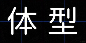 体型