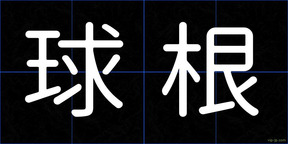 球根