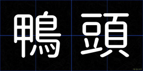 鴨頭
