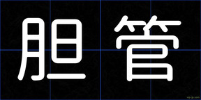 胆管