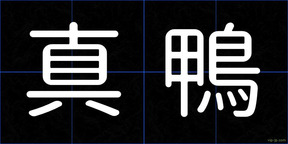 真鴨