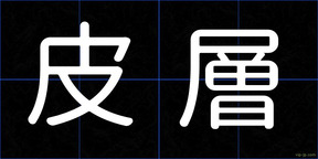 皮層