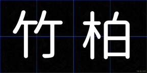 竹柏