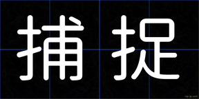 捕捉
