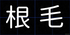 根毛