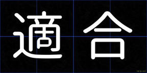 適合