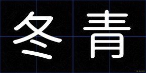 冬青