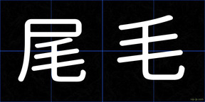 尾毛