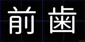 前歯