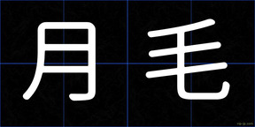 月毛