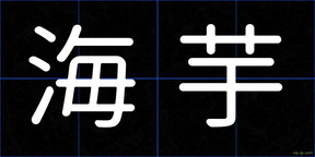 海芋