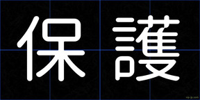 保護