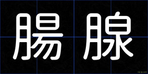 腸腺