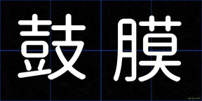 鼓膜