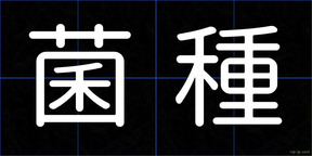 菌種