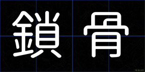 鎖骨