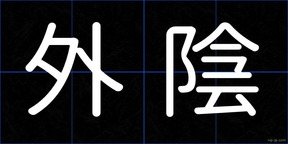 外陰