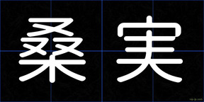 桑実