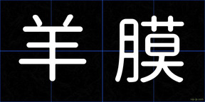 羊膜