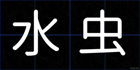 水虫