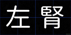 左腎