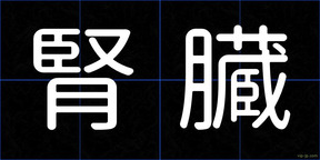 腎臓