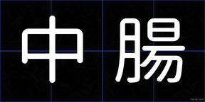 中腸
