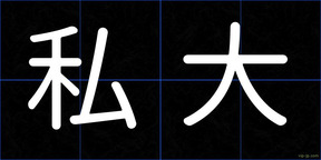 私大