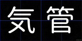 気管