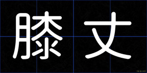膝丈