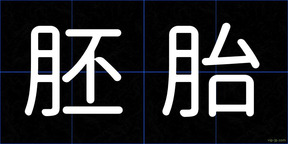 胚胎