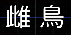 雌鳥