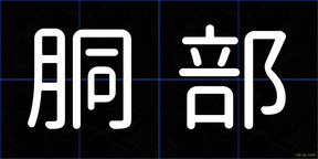 胴部