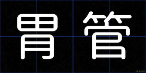 胃管