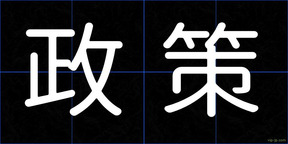 政策