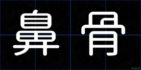 鼻骨