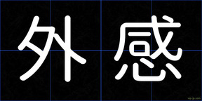 外感
