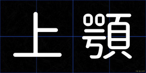 上顎