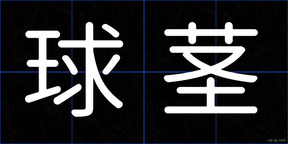 球茎
