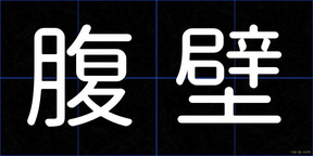 腹壁