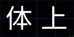 体上