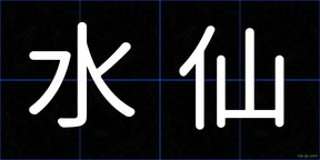水仙