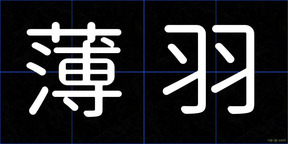 薄羽