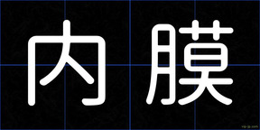 内膜