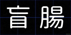 盲腸