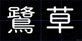 鷺草