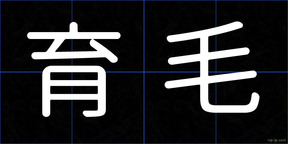 育毛