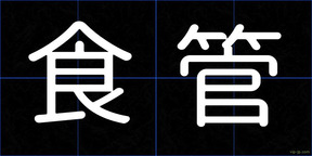食管